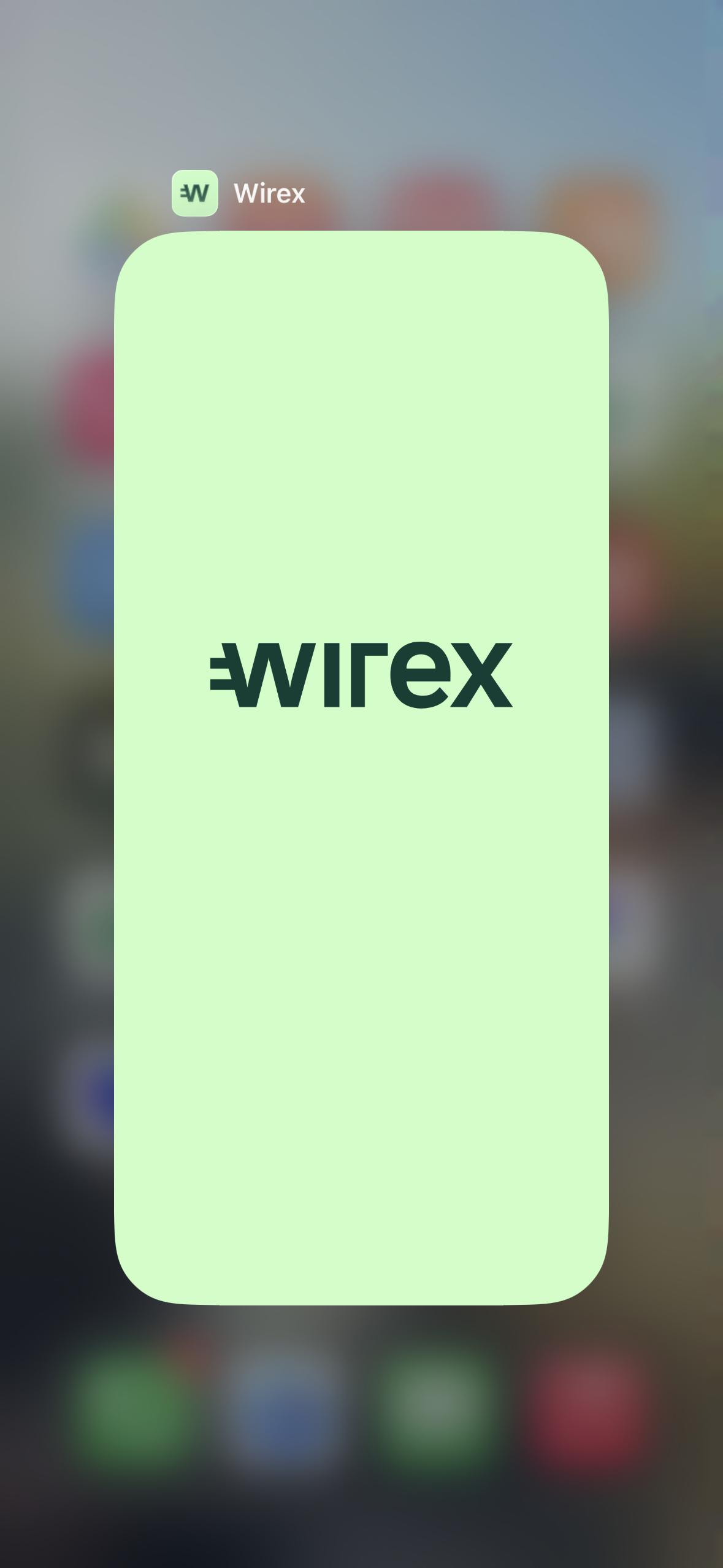 testWirex