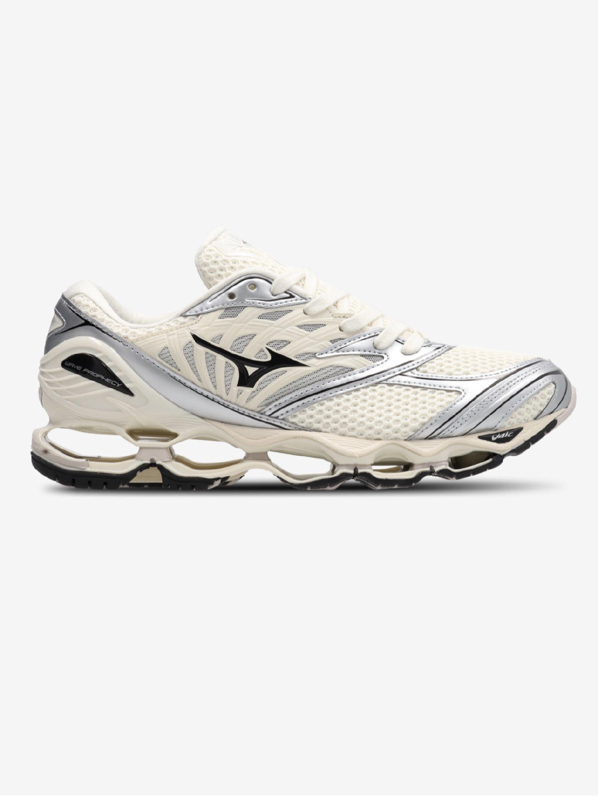 Mizuno Wave Prophecy